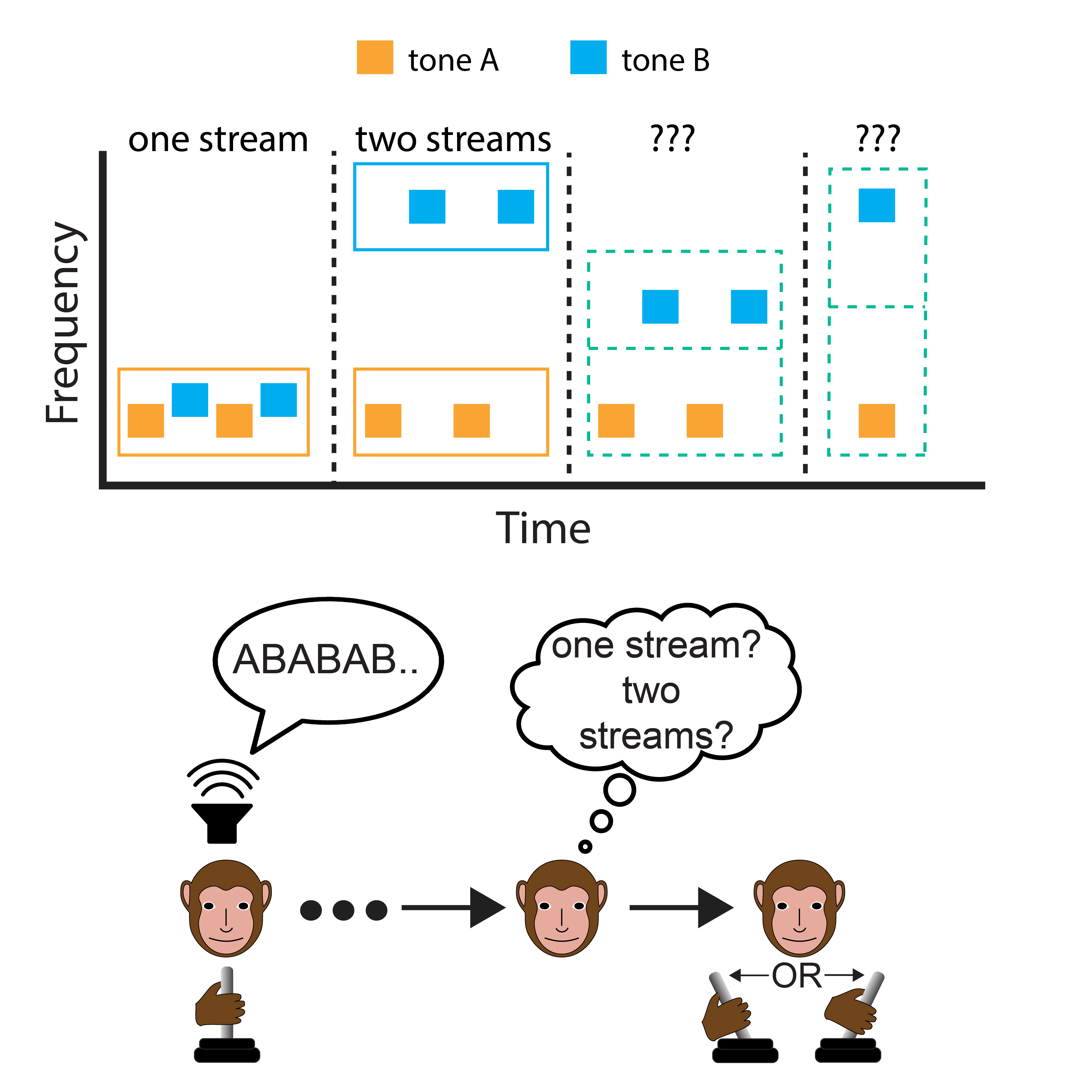 behavior auditory streaming