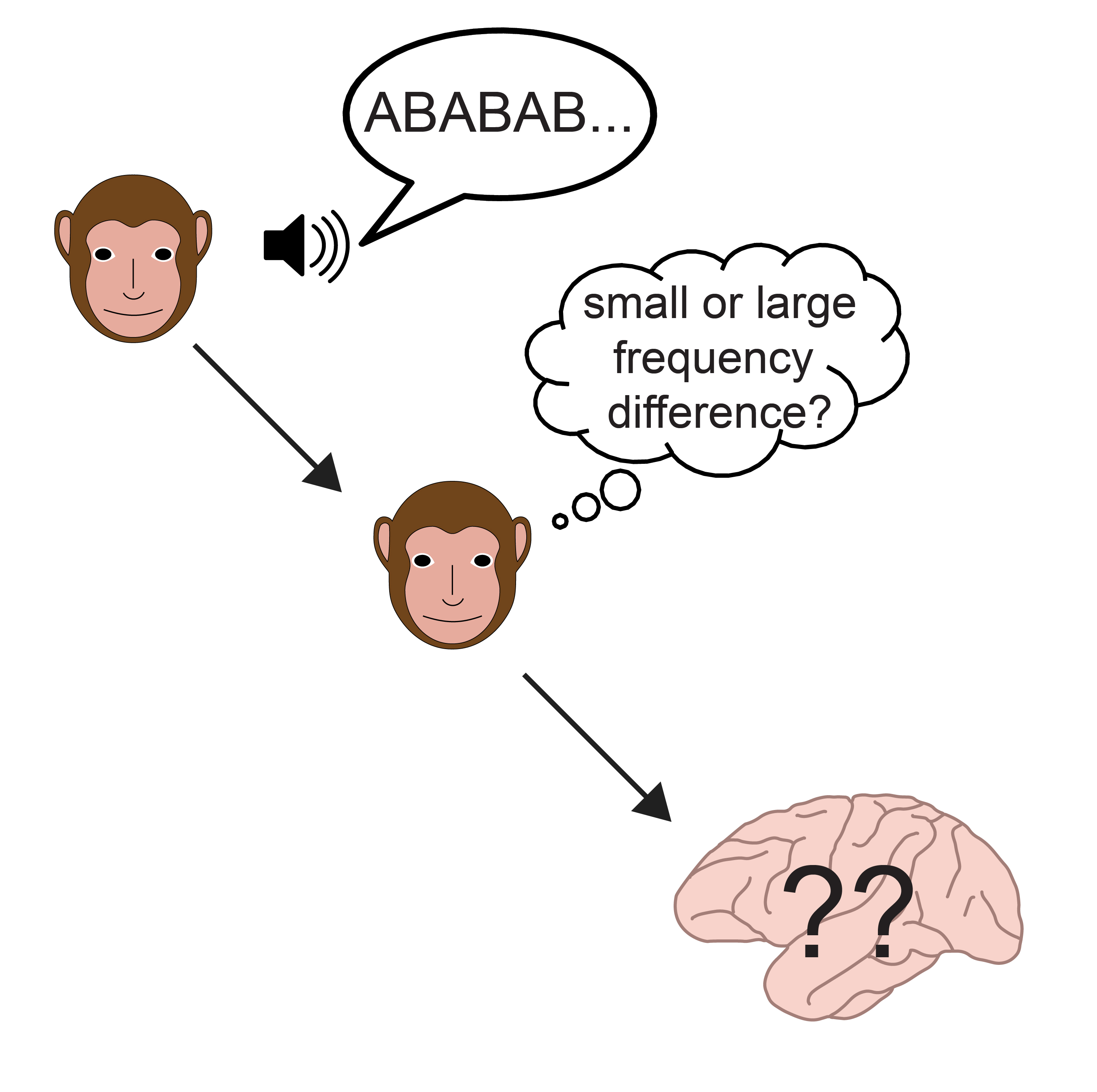 auditory streaming neural coding